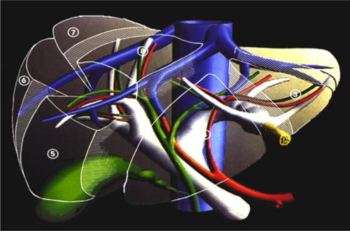 An external file that holds a picture, illustration, etc., usually as some form of binary object. The name of referred object is rmmj-2-1_e0021_Figure1.jpg